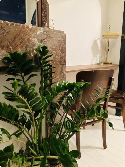 Bnb Hotel Suikernest Anvers Extérieur photo